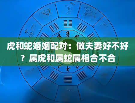 虎和蛇婚姻配对：做夫妻好不好？属虎和属蛇属相合不合