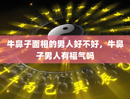 牛鼻子面相的男人好不好，牛鼻子男人有福气吗