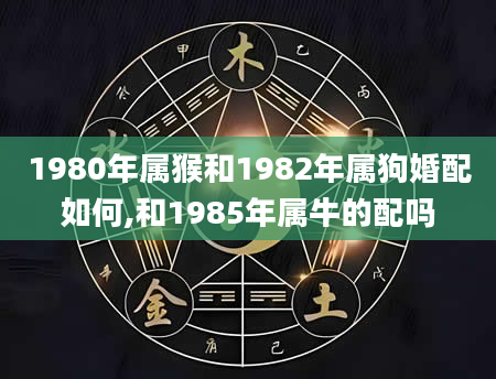 1980年属猴和1982年属狗婚配如何,和1985年属牛的配吗