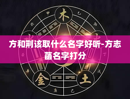 方和荆该取什么名字好听-方志菡名字打分