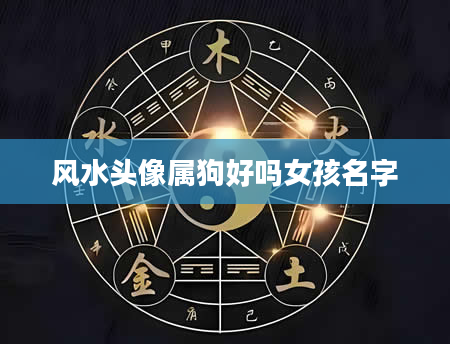 风水头像属狗好吗女孩名字