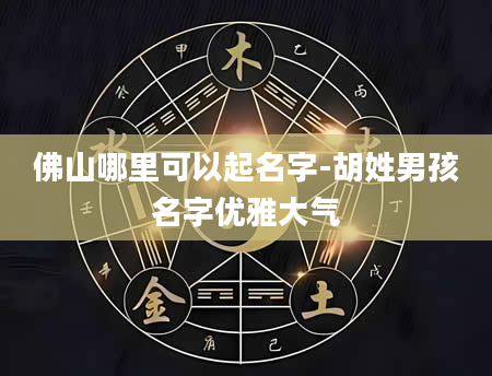 佛山哪里可以起名字-胡姓男孩名字优雅大气