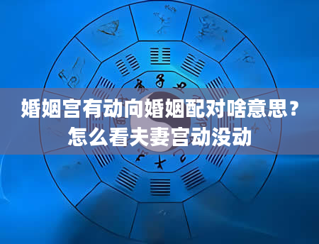 婚姻宫有动向婚姻配对啥意思？怎么看夫妻宫动没动