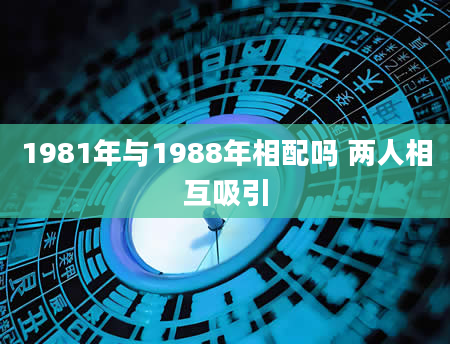 1981年与1988年相配吗 两人相互吸引