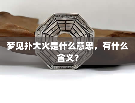 梦见扑大火是什么意思，有什么含义？