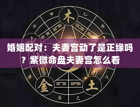 婚姻配对：夫妻宫动了是正缘吗？紫微命盘夫妻宫怎么看