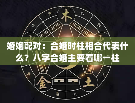婚姻配对：合婚时柱相合代表什么？八字合婚主要看哪一柱