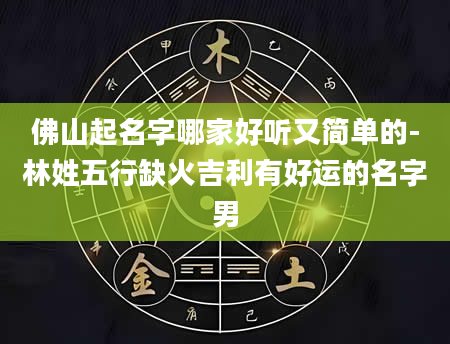 佛山起名字哪家好听又简单的-林姓五行缺火吉利有好运的名字男