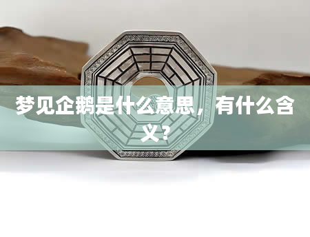 梦见企鹅是什么意思，有什么含义？