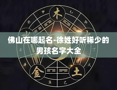 佛山在哪起名-徐姓好听稀少的男孩名字大全