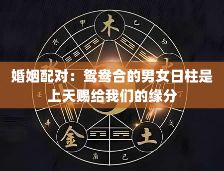 婚姻配对：鸳鸯合的男女日柱是上天赐给我们的缘分
