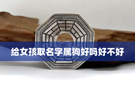 给女孩取名字属狗好吗好不好