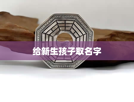 给新生孩子取名字