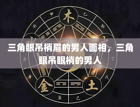 三角眼吊梢眉的男人面相，三角眼吊眼梢的男人