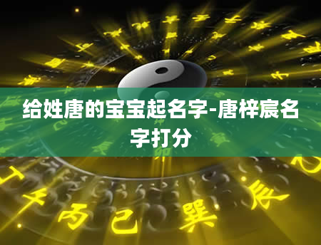 给姓唐的宝宝起名字-唐梓宸名字打分