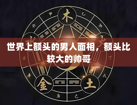 世界上额头的男人面相，额头比较大的帅哥