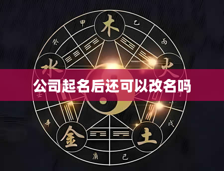 公司起名后还可以改名吗