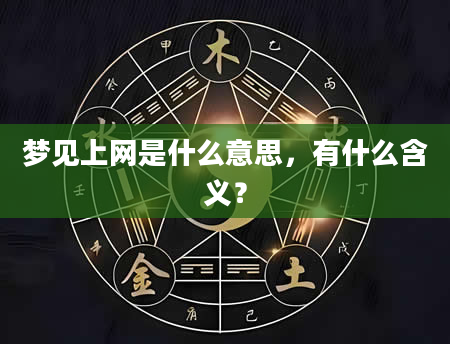 梦见上网是什么意思，有什么含义？