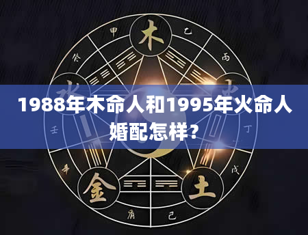 1988年木命人和1995年火命人婚配怎样？