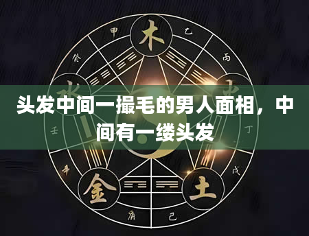 头发中间一撮毛的男人面相，中间有一缕头发
