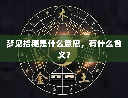梦见拾穗是什么意思，有什么含义？
