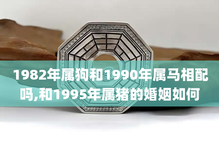1982年属狗和1990年属马相配吗,和1995年属猪的婚姻如何