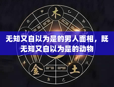无知又自以为是的男人面相，既无知又自以为是的动物
