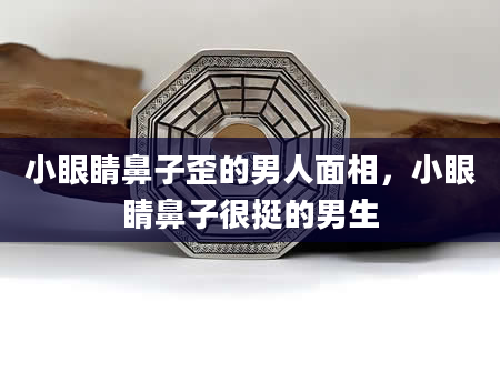 小眼睛鼻子歪的男人面相，小眼睛鼻子很挺的男生