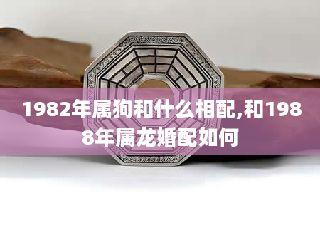 1982年属狗和什么相配,和1988年属龙婚配如何