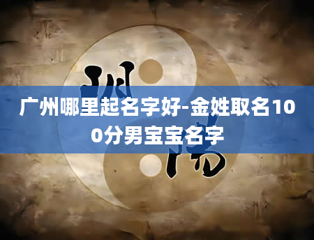广州哪里起名字好-金姓取名100分男宝宝名字