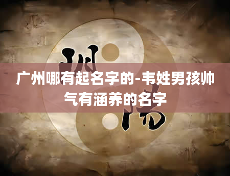 广州哪有起名字的-韦姓男孩帅气有涵养的名字