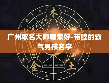 广州取名大师哪家好-带睦的霸气男孩名字