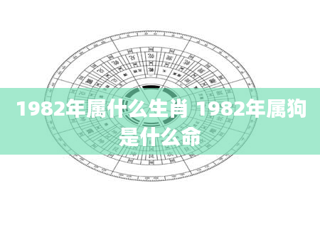 1982年属什么生肖 1982年属狗是什么命