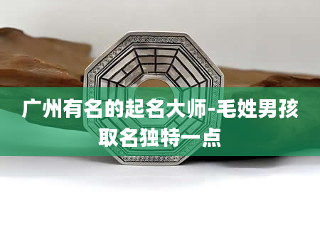 广州有名的起名大师-毛姓男孩取名独特一点