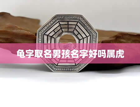 龟字取名男孩名字好吗属虎