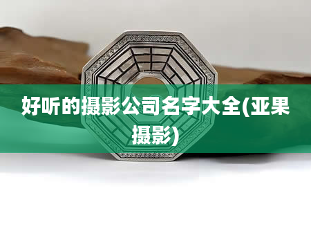 好听的摄影公司名字大全(亚果摄影)