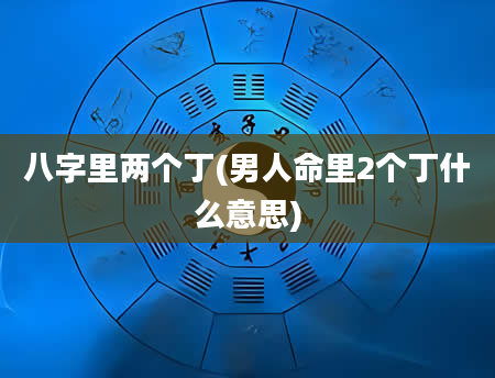 八字里两个丁(男人命里2个丁什么意思)