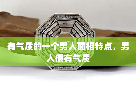 有气质的一个男人面相特点，男人很有气质