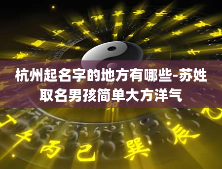 杭州起名字的地方有哪些-苏姓取名男孩简单大方洋气