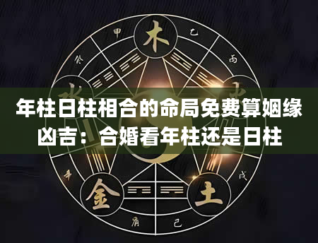 年柱日柱相合的命局免费算姻缘凶吉：合婚看年柱还是日柱