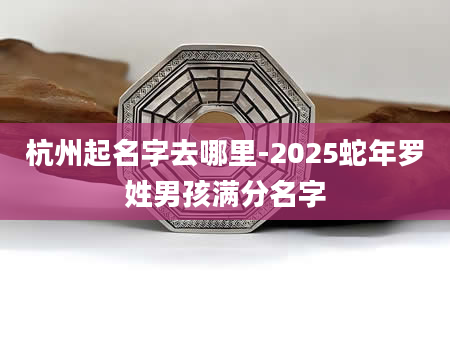 杭州起名字去哪里-2025蛇年罗姓男孩满分名字