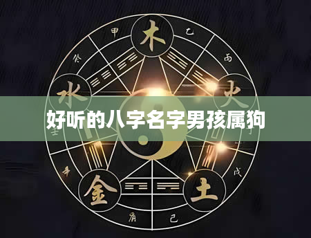 好听的八字名字男孩属狗