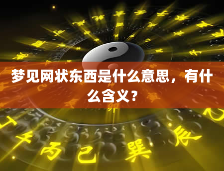 梦见网状东西是什么意思，有什么含义？