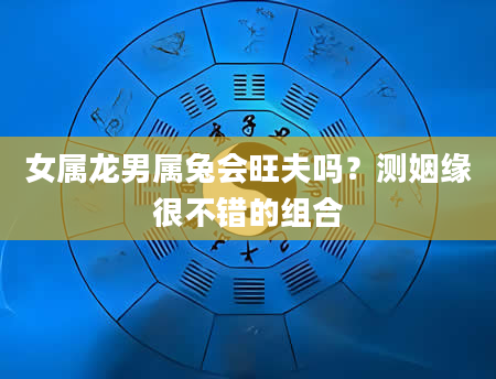 女属龙男属兔会旺夫吗？测姻缘很不错的组合