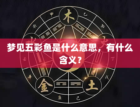 梦见五彩鱼是什么意思，有什么含义？