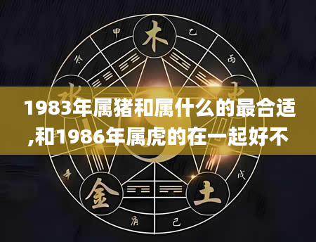 1983年属猪和属什么的最合适,和1986年属虎的在一起好不