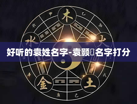 好听的袁姓名字-袁颢洺名字打分