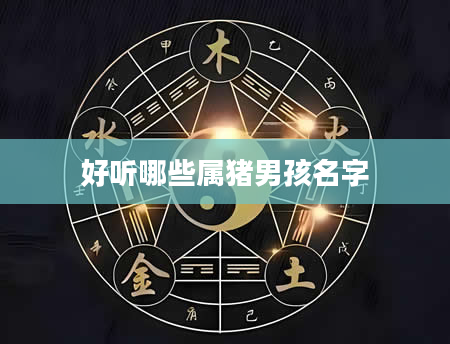 好听哪些属猪男孩名字