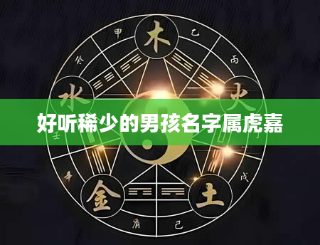 好听稀少的男孩名字属虎嘉