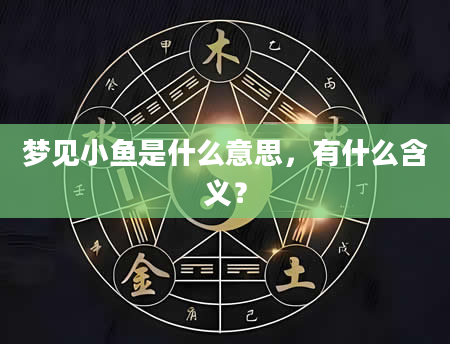 梦见小鱼是什么意思，有什么含义？
